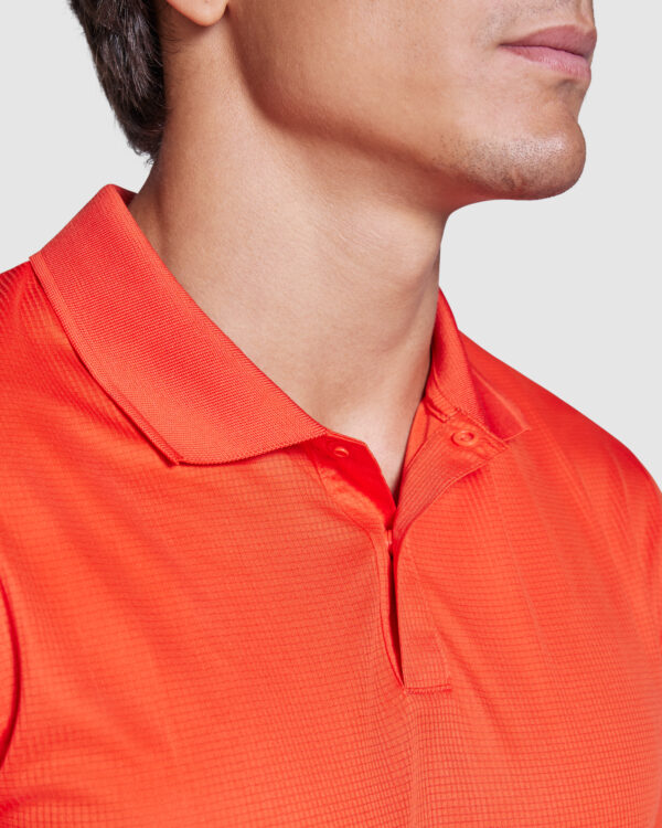 TORMO - Image 3