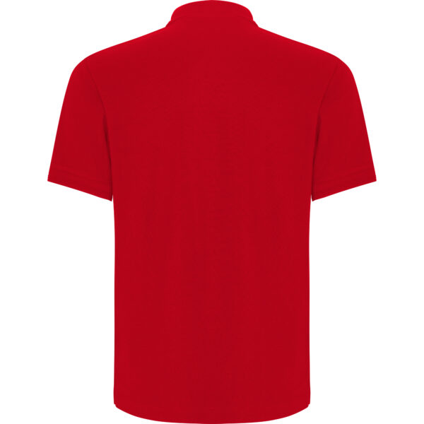 CENTAURO PREMIUM - Image 5